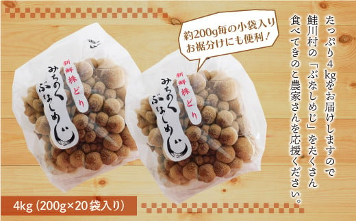 きのこ王国鮭川村産 ［ぶなしめじ］ たっぷり4kg（約200g×20袋入り）