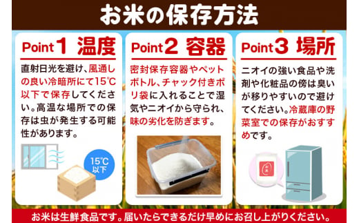 あきたこまち 家計お助け米 10kg(5kg×2袋)  令和6年産 新米 【1回のみお届け】【白米】秋田県産