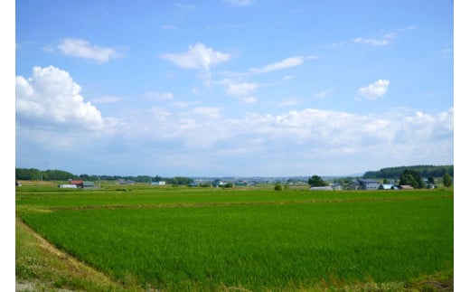 A258【令和６年産】ゆめぴりか（玄米）特Aランク 5kg 北海道 鷹栖町 たかすのおむすび 米 コメ ご飯 玄米 お米 ゆめぴりか