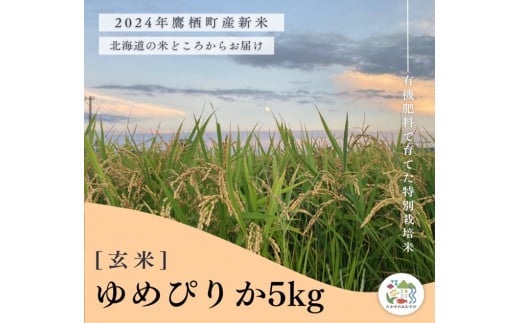 A258【令和６年産】ゆめぴりか（玄米）特Aランク 5kg 北海道 鷹栖町 たかすのおむすび 米 コメ ご飯 玄米 お米 ゆめぴりか