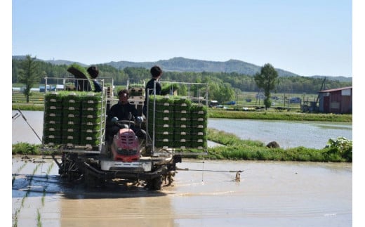 A258【令和６年産】ゆめぴりか（玄米）特Aランク 5kg 北海道 鷹栖町 たかすのおむすび 米 コメ ご飯 玄米 お米 ゆめぴりか