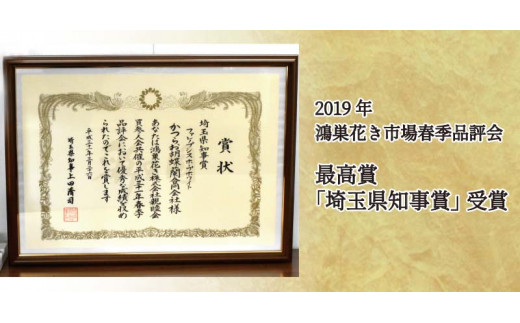 【鴻巣花き市場品評会で最高賞受賞】白大輪コチョウラン5本立て　２０２４年度受付