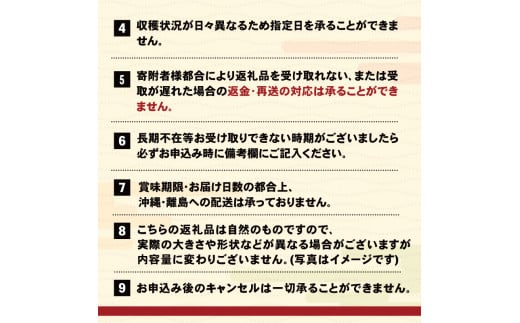 《予約受付》 生うに 100g うに 冷蔵 雲丹 無添加 ミョウバン不使用 岩手県産