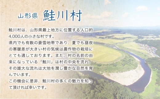 ＜令和6年産米＞ 鮭川村 はえぬき 【玄米】 60kg定期便 （10kg×6回発送）＜配送時期選べます＞