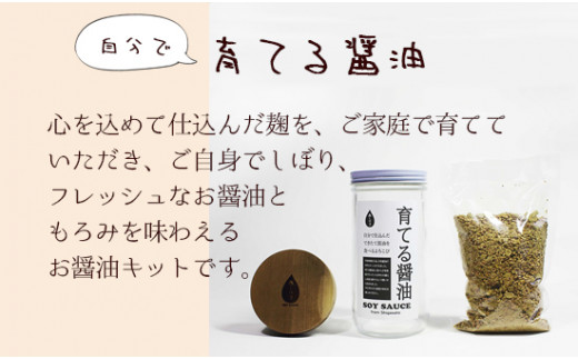 無添加 育てる醤油フルセット【 国産 調味料 発酵食品 セット 醤油 詰め合わせ 発酵 しょうゆ 食べ比べ 贈答 贈り物 プレゼント ギフト 無農薬 熟成 もろみ 京都 綾部 】