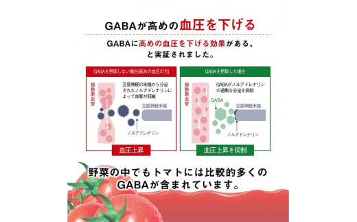 【定期便 10ヶ月】 カゴメ トマトジュース 200ml 96本×10回 【 野菜ジュース 紙パック 定期便 カゴメトマトジュース トマト 100％ ジュース 飲料 セット 健康 リコピン GABA 着色料 保存料 不使用 機能性表示食品 完熟 野菜飲料 ドリンク 野菜ドリンク 備蓄 長期保存 防災 飲みもの かごめ kagome KAGOME 長野県 富士見町 】