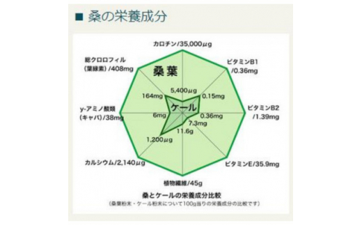 ＜3束入り＞大阪産(もん)桑うどん　(1束200g/2人前)【1489127】