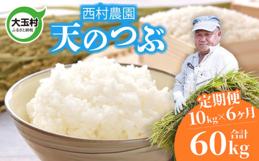 米 定期便 天のつぶ 60kg ( 10kg × 6ヶ月 ) 《 令和6年 》 福島県 大玉村 西村農園 新米 ｜ てんのつぶ テンノツブ 精米 定期 6回 コメ ｜ nm-tt10-t6-R6