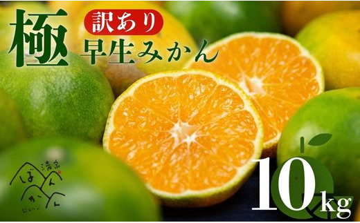 【訳あり】愛媛みかん （ 極早生 ） 10kg【発送時期：９月下旬～１0月下旬】2S-Lサイズ サイズミックス 愛媛みかん 温州みかん 一番みかん 柑橘 みかん  愛媛県 愛南町 清家ばんかんビレッジ