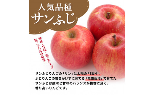 【2025年3月上旬発送】 サンふじ青森 訳あり りんご 10kg 程度 五所川原 不揃い