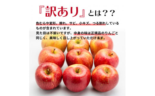 【2025年3月上旬発送】 サンふじ青森 訳あり りんご 10kg 程度 五所川原 不揃い