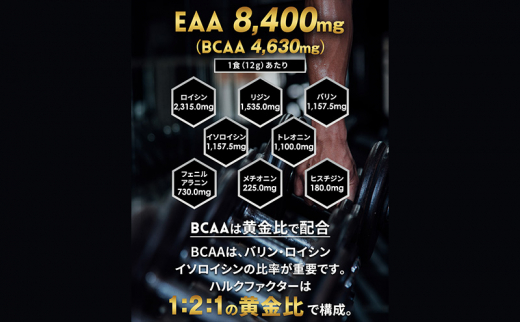 【ふるさと納税】【3か月定期便】ハルクファクター EAA グレープ風味 大容量 520g 必須アミノ酸 BCAA プロテイン 人気 おいしい 筋トレ サプリメント 美容 燃焼系 ダイエット サプリ 国産 ぶどうブドウ [№5644-1459]