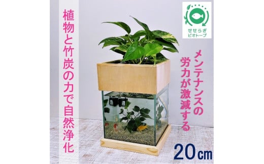 水槽セット ろ過 ポンプ 植物 癒し 水替え不要20cm 型基本+木枠台セット※2025年3月20日まで北海道への発送不可（低温で商品が枯れるため）