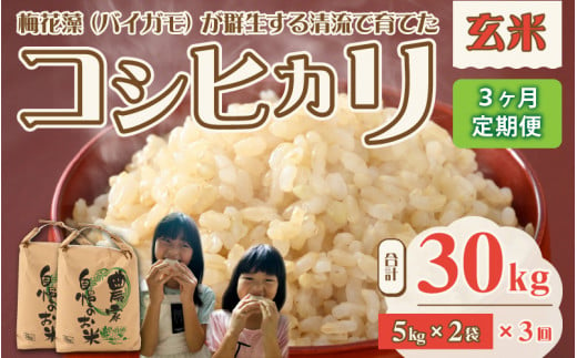 【先行予約】令和6年産 梅花藻が群生する清流で育てたコシヒカリ（玄米 5kg ×2袋）3か月定期便 計30kg ※2024年9月下旬以降順次発送予定 [C-040006]