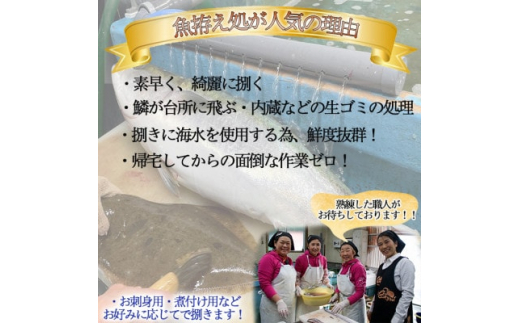 岬だよりの＜釣ったお魚プロが代わりに下処理します＞魚捌き券(15000円相当)