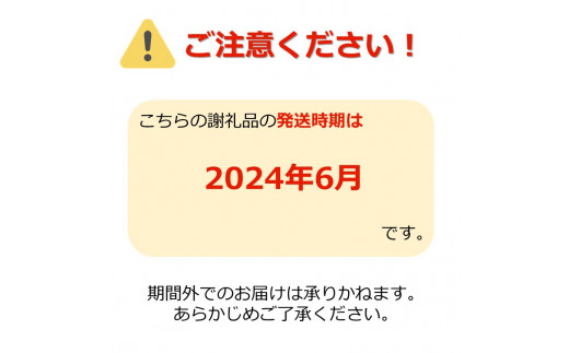 【2024年6月発送】「秀品」さくらんぼ佐藤錦約600g（L以上・150g×4パック詰）_H109(R6)