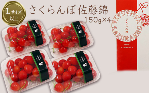 【2024年6月発送】「秀品」さくらんぼ佐藤錦約600g（L以上・150g×4パック詰）_H109(R6)