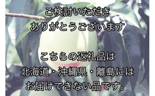 HT-1　【令和7年発送・先行予約】岡山県産　白桃（1玉300ｇ以上）6玉　等級：ロイヤル　化粧箱入り