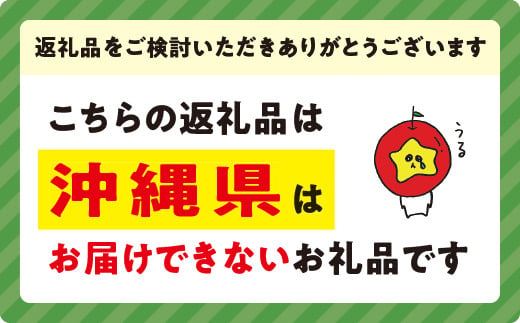 りんご 紅将軍 家庭用 3kg 永野農園 沖縄県への配送不可 2024年9月下旬頃から2024年10月上旬頃まで順次発送予定 令和6年度収穫分 信州 果物 フルーツ リンゴ 林檎 長野 予約 農家直送 長野県 飯綱町 [0798]