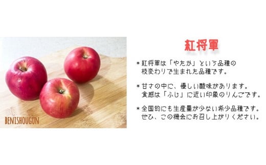 りんご 紅将軍 家庭用 3kg 永野農園 沖縄県への配送不可 2024年9月下旬頃から2024年10月上旬頃まで順次発送予定 令和6年度収穫分 信州 果物 フルーツ リンゴ 林檎 長野 予約 農家直送 長野県 飯綱町 [0798]