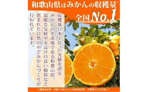 紀州和歌山まるごとみかんゼリー 145g×6個 化粧箱入 ※2024年10月上旬頃より発送予定【uot790】