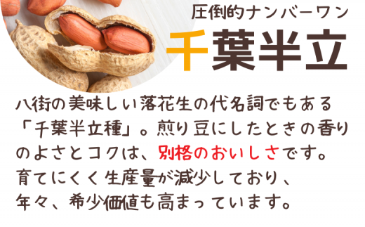 ＼計 600g ／千葉県八街市産「味付千葉半立」200g×3袋