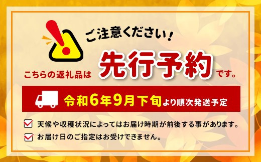 クイーンルージュ®　家庭用 約3kg 4～6房  | 果物 フルーツ ぶどう 葡萄 ブドウ 赤ぶどう マスカット クイーンルージュ® 3kg 家庭用 種無し 種なし 皮ごと 食べやすい 高糖度 信州 特産品 長野県 千曲市 長野県限定