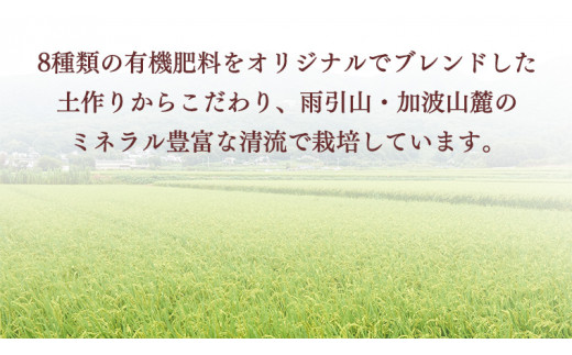 令和6年産 桜川市の 厳選甘引米 コシヒカリ 精米 4kg 桜川市産 コシヒカリ こしひかり 米 こめ コメ 茨城県 いばらき 有機肥料 [BA006sa]