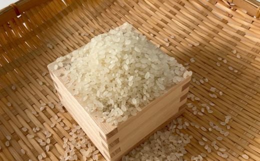 【令和6年産 新米】 雪瑞穂(ななつぼし) 10kg  【 定期便 ななつぼし 新米 米 コメ おこめ 玄米 精米 ふっくら 甘味  】 MKWR004