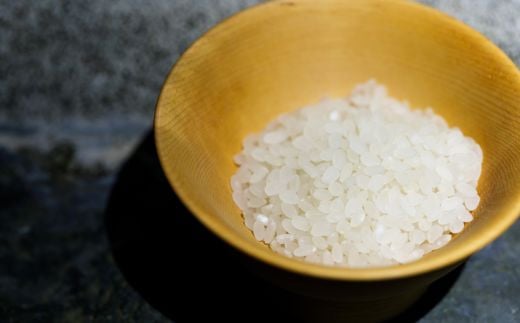 【令和6年産 新米】 雪瑞穂(ななつぼし) 10kg  【 定期便 ななつぼし 新米 米 コメ おこめ 玄米 精米 ふっくら 甘味  】 MKWR004