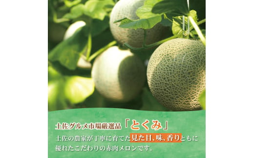 【12月中旬～1月上旬発送】土佐の赤肉メロン【とくみ】(2玉入)【土佐グルメ市場(土佐市)】約3kg 3キロ めろん 赤肉メロン 果物 くだもの フルーツ なめらか 高級 デザート おやつ ミネラル