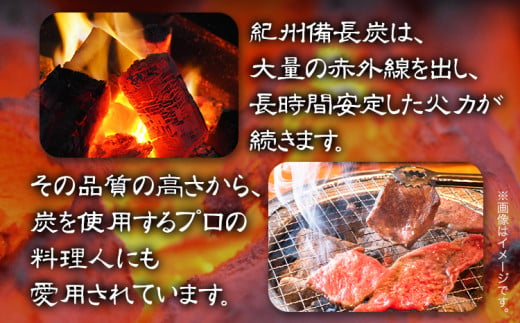 紀州備長炭 荒並 約5kg 望商店 《30日以内に出荷予定(土日祝除く)》 和歌山県 日高川町 備長炭 紀州備長炭 炭 約5kg 高級白炭 BBQ 焼肉 炭火焼き キャンプ レジャー 囲炉裏 国産 備長炭 川遊び ロッジ 行楽 安全 安心 火起こし 大活躍
