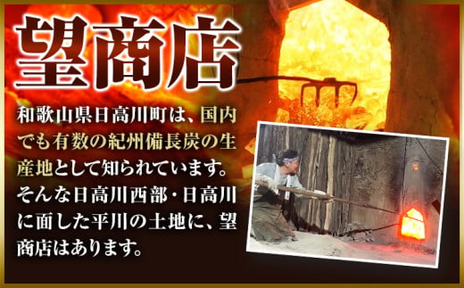 紀州備長炭 荒並 約5kg 望商店 《30日以内に出荷予定(土日祝除く)》 和歌山県 日高川町 備長炭 紀州備長炭 炭 約5kg 高級白炭 BBQ 焼肉 炭火焼き キャンプ レジャー 囲炉裏 国産 備長炭 川遊び ロッジ 行楽 安全 安心 火起こし 大活躍
