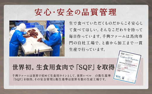 【阿蘇・熊本復興記念】高森限定 馬づくし バラエティー 6種 計1,460g【2022年4月発送】