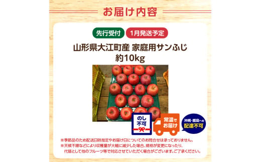 《先行予約》特別栽培 訳あり 家庭用サンふじ約10kg  【2025年1月中旬頃～発送予定】【山形りんご・大江町産・鈴木果樹園】【025-021】