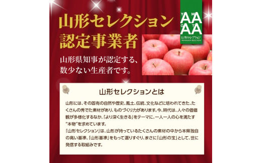 《先行予約》特別栽培 訳あり 家庭用サンふじ約10kg  【2025年1月中旬頃～発送予定】【山形りんご・大江町産・鈴木果樹園】【025-021】