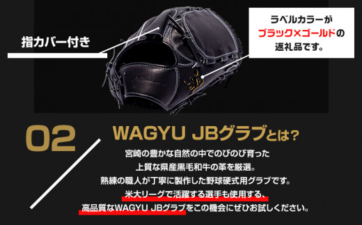 宮崎県産牛革使用 WAGYU JB 硬式用 グラブ 投手用 JB-001Y(ブラック/右投げ用)_M147-004_01