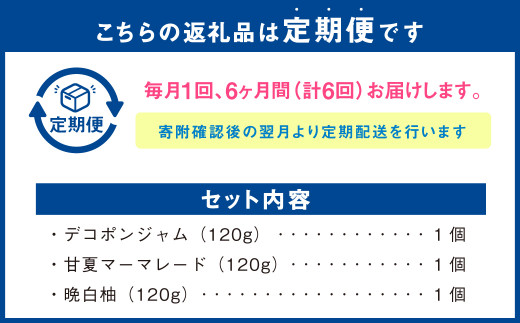 【6ヶ月定期便】熊本みかんのジャムセット(120g×3個)×6回