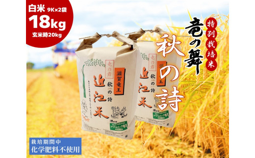  2023年産 竜の舞 秋の詩 白米 18kg ( 9kg × 2袋入 ) （ 玄米時 20kg ） お米 おこめ 米 化学肥料不使用 特別栽培米 国産 近江米 農家直送 産地直送 滋賀県 竜王町 送料無料 