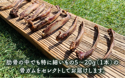 ＜3回定期便＞超小型犬向け☆天然いのししのスモーク骨ガム100g わんこin食堂/吉野ヶ里町 [FCG062]