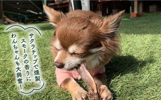 ＜3回定期便＞超小型犬向け☆天然いのししのスモーク骨ガム100g わんこin食堂/吉野ヶ里町 [FCG062]