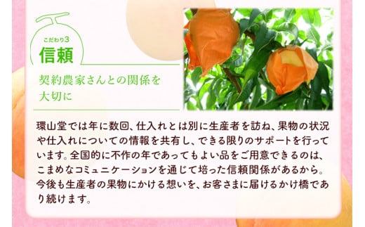 【2025年先行予約】あたご梨 2玉 計約1.8kg 環山堂株式会社《2025年11月下旬-12月下旬頃より発送予定》岡山県 浅口市 梨 なし 和梨 果物 フルーツ 送料無料