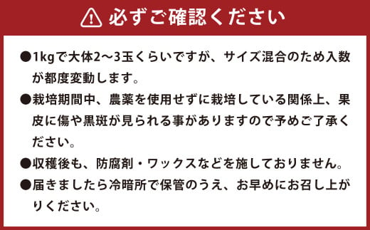 環境マイスターのグレープフルーツ 良品・訳あり混合 10kg