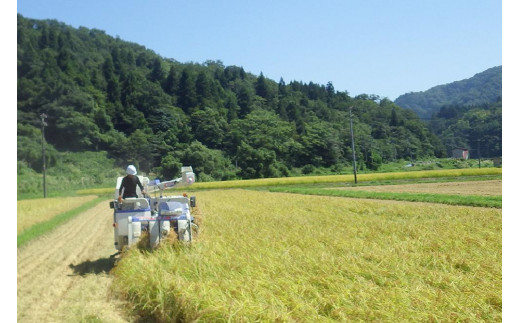 定期便 6回 隔月【2ヵ月毎】新潟県 上越市 浦川原産 極上の雪国米 コシヒカリ 6kg (2kg×3) 玄米 全6回 米