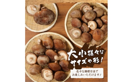 生しいたけ 大小Mixセット(2kg)