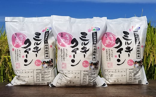 《 新米 》 【 令和6年産 新米 】 特別栽培米 ミルキークイーン 計 6kg ( 2kg × 3袋 ) 2024年産 産地直送 農家直送