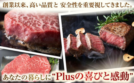 【A4～A5】長崎和牛モモステーキ　約1kg（100g×10p）【株式会社 MEAT PLUS】 [QBS026]