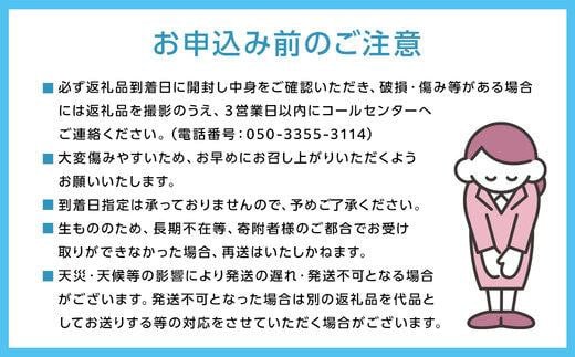 ぶどう［2025年先行予約］シャインマスカット 5房～10房（5kg以上）岡山県産