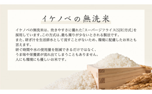 【 6ヶ月 連続配送 定期便 】《 令和6年産 》 茨城県産 無洗米 コシヒカリ 10kg こしひかり 米 コメ こめ 五ツ星 高品質 白米 精米 時短 新米