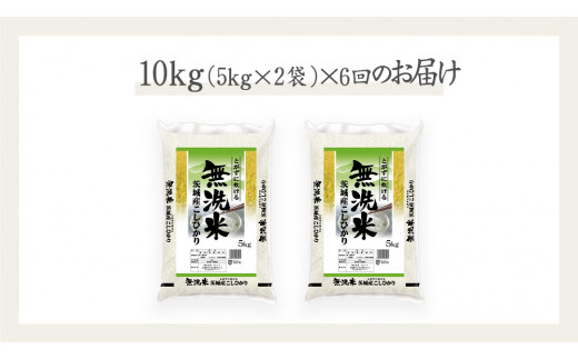 【 6ヶ月 連続配送 定期便 】《 令和6年産 》 茨城県産 無洗米 コシヒカリ 10kg こしひかり 米 コメ こめ 五ツ星 高品質 白米 精米 時短 新米